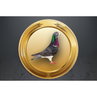 Emblém poštovní holub GL264/GL264_25 – Zboží Dáma