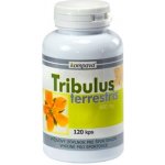 Tribulus terrestris 400 mg 120 kapslí – Hledejceny.cz