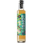 Koldokol Bio Shot zázvor a citrón 250 ml – Zboží Dáma