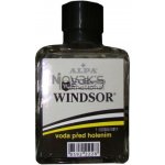 Windsor voda před holením 100 ml – Zboží Dáma