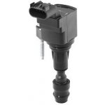 Zapalovací cívka BorgWarner (BERU) ZSE212 – Hledejceny.cz