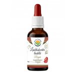Salvia Paradise Lesklokorka lesklá reishi tinktura 50 ml – Hledejceny.cz