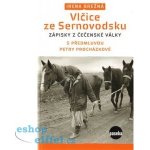 Vlčice ze Sernovodsku. Zápisky z čečenské války - Irena Brežná – Hledejceny.cz