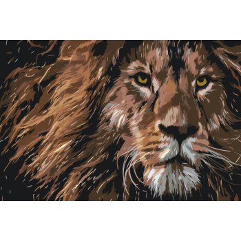 Vymalujsisam Malování podle čísel Dravý pohled lva