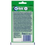 Wrigley's Orbit Spearmint 36 ks 50g – Hledejceny.cz