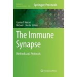 Immune Synapse – Hledejceny.cz