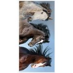 TipTrade osuška 70 x 140 cm divocí koně v přírodě – Sleviste.cz