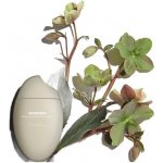 Haruharu Wonder Black Rice Hyaluronic Anti-Wrinkle Serum 50 ml – Hledejceny.cz