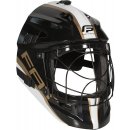 Fatpipe GK Helmet