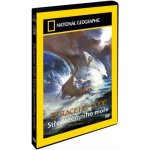 ztracené lodě středozemního moře DVD – Hledejceny.cz