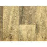 Beaulieu Fortex 2940 5 m 1 m² – Zbozi.Blesk.cz