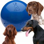 The Company of Animals Míč Boomer ball 20 cm – Sleviste.cz