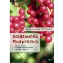 Schizandra Plod pěti živlů