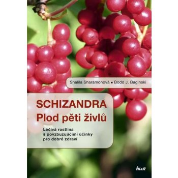 Schizandra Plod pěti živlů