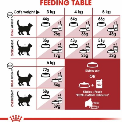 Royal Canin FIT granule pro aktivní kočky 10 kg – Zboží Mobilmania