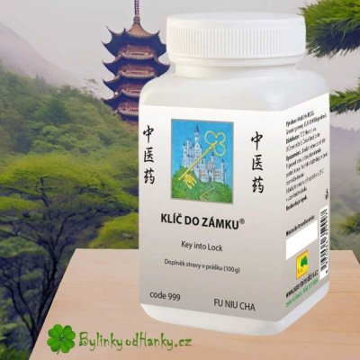 TCM HERBS KLÍČ DO ZÁMKU 100 g – Hledejceny.cz