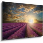 Obraz 1D - 100 x 70 cm - Vibrant Summer sunset over lavender field landscape Vibrantní letní západ slunce nad levandule krajiny – Hledejceny.cz