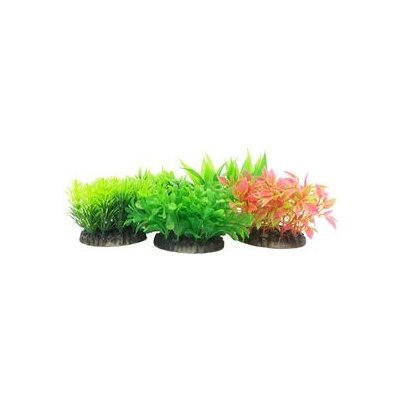 Tatrapet Ludwigia 15-20 cm mix 5 ks zelená, červená – Zboží Mobilmania