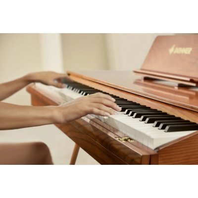 Donner DDP-80 Pro – Sleviste.cz