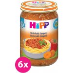 HiPP BIO Boloňské špagety 6 x 250 g – Hledejceny.cz