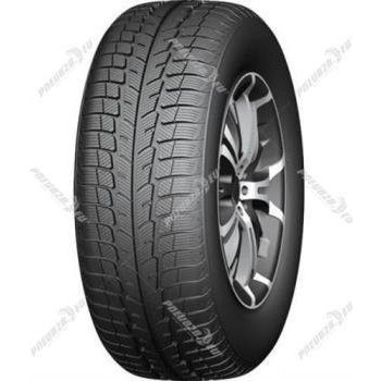 Windforce Catchsnow 225/65 R17 102T