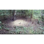 OXE Viper – Zboží Živě