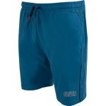 Athl. DPT pánské šortky Niceto deep water deep water – Zbozi.Blesk.cz