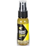Feeder Expert Boost Spray Pineapple & Butyric Acid 30 ml – Zbozi.Blesk.cz