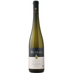 Weingut Allram Ried Renner 1ÖTW Veltlínské zelené suché bílé 2021 13,5% 0,75 l (holá láhev) – Hledejceny.cz