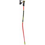 Leki WCR Lite GS 3D 2025/26 – Zboží Dáma