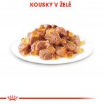 Royal Canin Instinctive jelly 12 x 85 g – Sleviste.cz