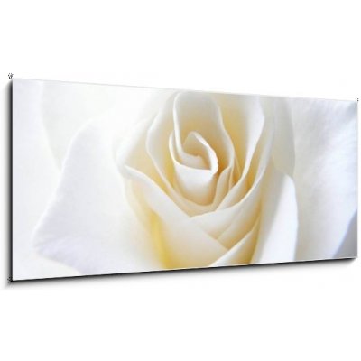 Obraz 1D panorama - 120 x 50 cm - Schneeweisschen oder die wei e Rose Sněhurka nebo bílá růže