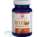 Pharma Activ Amygdalin Forte B17 45+15 kapslí – Hledejceny.cz