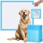 Springos Tréninková podložka pro štěňata 60 x 60 cm PA2016 PA2016-XG 10 ks – Hledejceny.cz