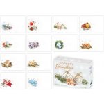 Obálka barevná vánoční 1ks – Zboží Živě