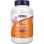 Now Foods Magtein Magnesium L-Threonate 180 kapslí – Hledejceny.cz