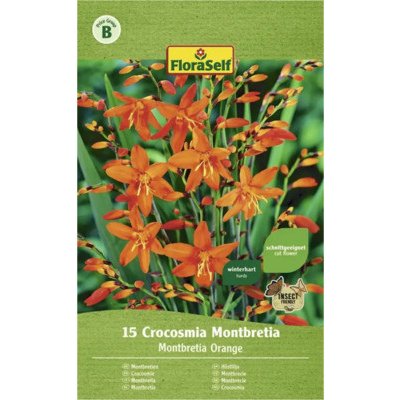 Montbrécie - Crocosmia oranžová Floraself 15 ks