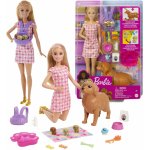 Mattel Barbie Novorozená štěňátka HCK75 – Zboží Mobilmania