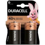 Duracell Basic D 2ks 10PP100009 – Zbozi.Blesk.cz