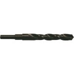 Milwaukee vrták do kovu HSS-R 15,0mm – Hledejceny.cz