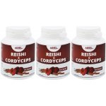 Adiel Reishi & Cordyceps 3 x 90 kapslí – Hledejceny.cz