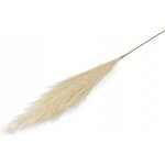 Prima-obchod Pampová tráva, barva 2 krémová světlá – Sleviste.cz