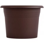 obal d11cm Narcis ČOKO – Hledejceny.cz