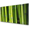 Obraz akrylový obraz Bambus Příroda Rostlina 100x50 cm