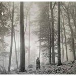 Swift Taylor - Folklore 2LP - Vinyl – Zboží Dáma