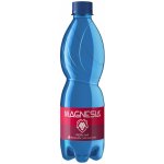 Magnesia perlivá 0,5 l - PET – Hledejceny.cz