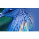 Sony Bravia XR-55A75K – Hledejceny.cz