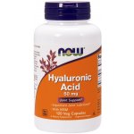 NOW Foods Kyselina hyaluronová s MSM 50 mg 120 rostlinných kapslí – Hledejceny.cz