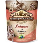 Carnilove Dog Pouch Paté Salmon with Blueberries for Puppies 300 g – Zboží Mobilmania