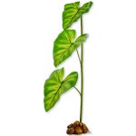 Hagen Exo Terra Dripper Plant L 55 cm – Zboží Mobilmania